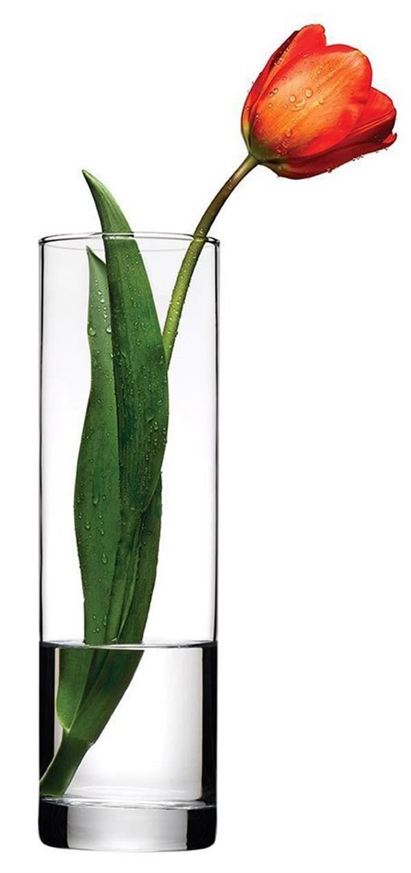 43767 Botanica Vazo
